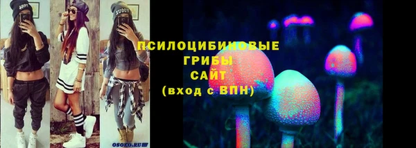 герыч Дмитриев