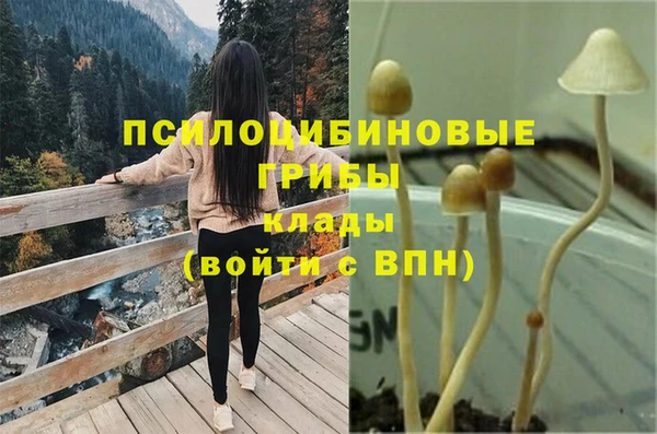 герыч Дмитриев
