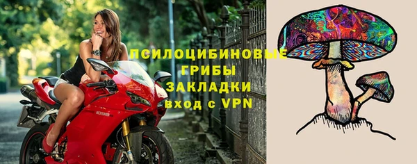 герыч Дмитриев