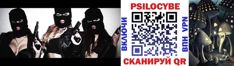 Псилоцибиновые грибы Psilocybine cubensis  цены   Заволжье 