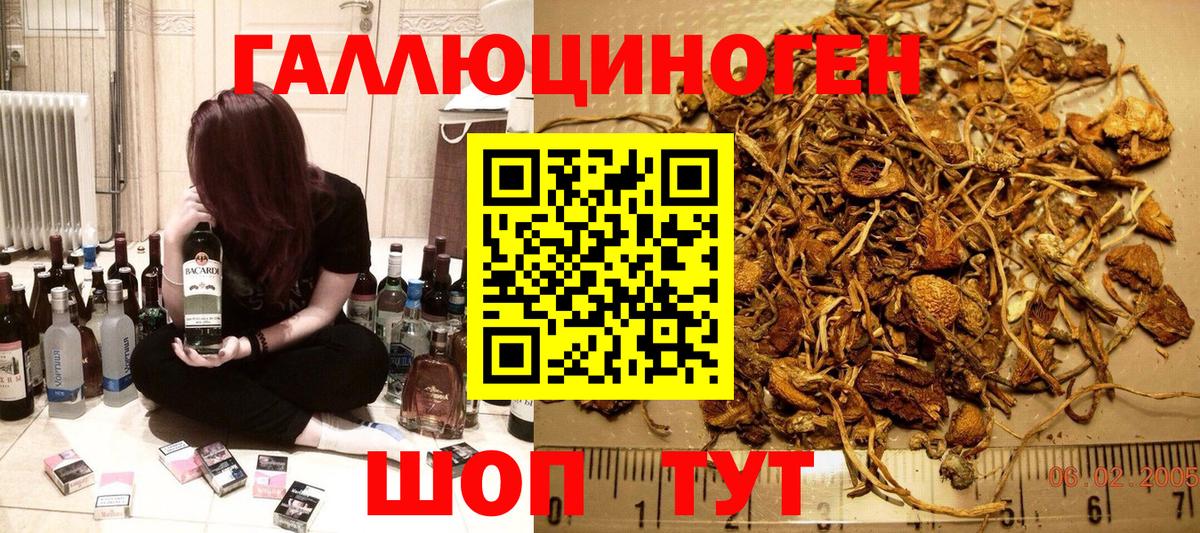 Заволжье  Галлюциногенные грибы мухоморы  Вход с VPN  Псилоцибиновые грибы GOLDEN TEACHER 
